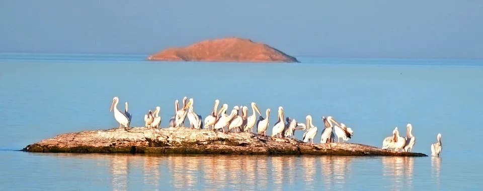 lago Nasser lago Nasser